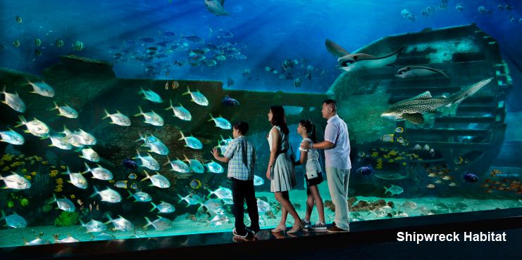 Marine Life Park. Затонувший корабль