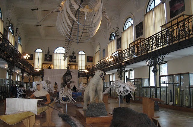 Залы океанографического музея в Монако