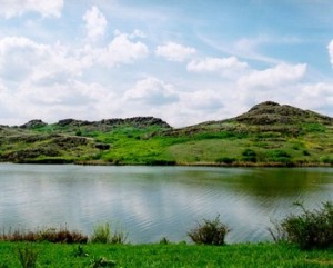 Запорожская область