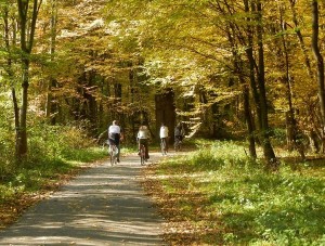 По следам Лихтенштейнов. Вело-маршрут по Ледницко-Валтицкому ареалу