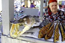 Одесса. История рынка Привоз