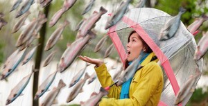 Йоро — город, где рыба падает с небес