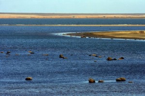 Необыкновенное озеро Маныч - Гудило