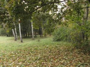 Парк Александрия (Белая Церковь) - программа выходного дня