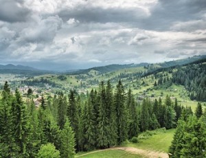 Подолье-Закарпатье: маршрут по природным и архитектурным достопримечательностям