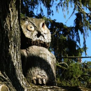 Краснокутский дендропарк – место, где живет сказка