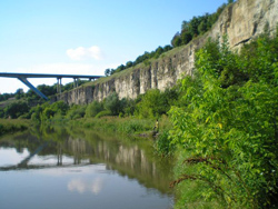 Каменец-Подольский. Цветок на камне
