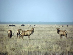 Зелёный туризм на Херсонщине