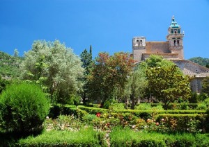 Майорка – миндальный остров райской мечты