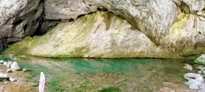  (Приволжский федеральный округ)