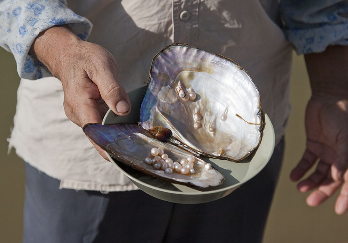 Фото достопримечательностей Китая: 