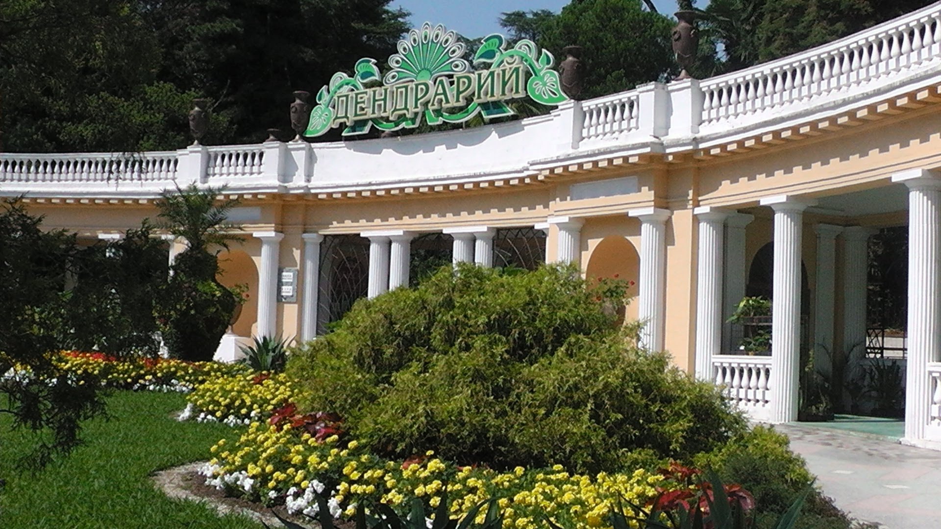 Фото достопримечательностей Кавказа и Черноморского побережья: Сочинский дендрарий