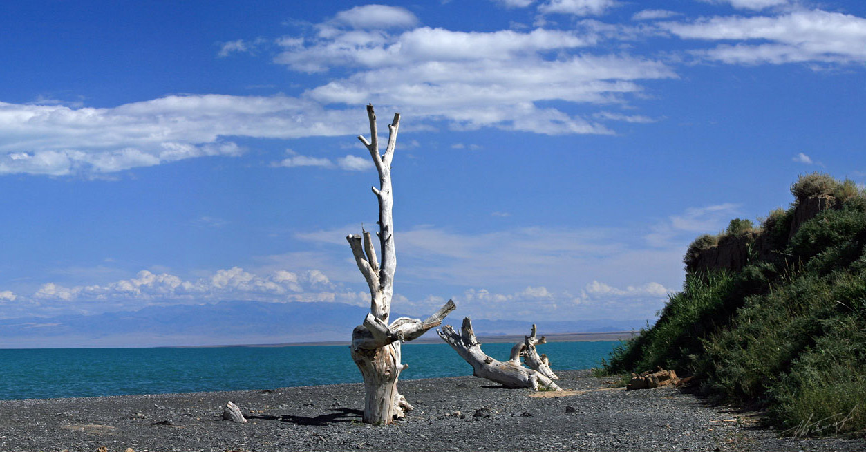 Фото достопримечательностей Кахастана: 