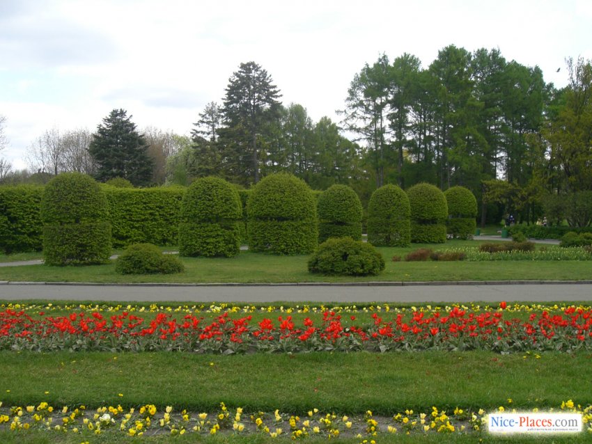 Фото достопримечательностей Киева и Киевской области: Киев. Ботанический сад. Печерск