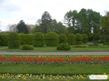 Киев. Ботанический сад. Печерск