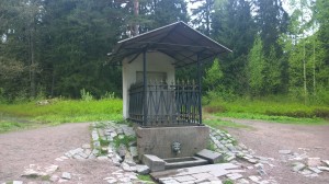 источник «Нарцисс»  (Санкт-Петербург и область)