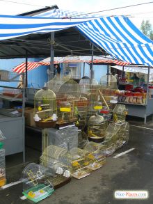 Киев. Птичка. Клетки (Киев и область)