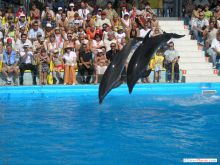 Разомнемся!