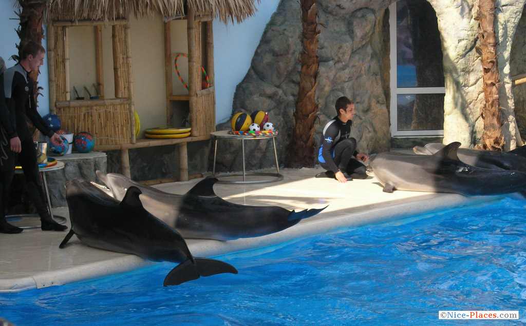 Фото достопримечательностей Одессы и Одесской области: Сначала подкрепимся рыбкой