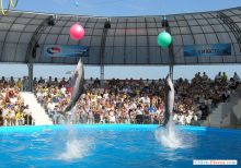 Еще, еще чуть-чуть, и достанем! (Одесса и область)