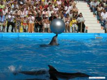 Главное - держать равновесие (Одесса и область)