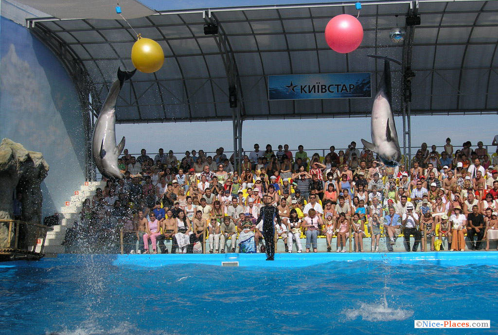 Фото достопримечательностей Одессы и Одесской области: Допрыгнули! :)