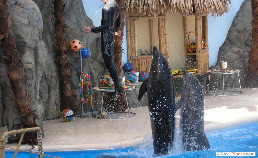 Фото достопримечательностей Одессы и Одесской области: А теперь &mdash; на сушу