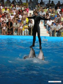 Не упадешь - мы держим