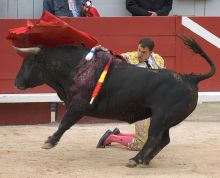 Коррида (Испания)