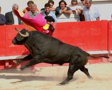 Коррида (Испания)