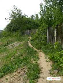 Ботанический сад. Печерск. Альтернативный путь (Киев и область)
