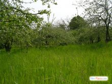  (Киев и область)