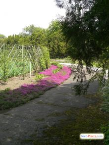  (Киев и область)