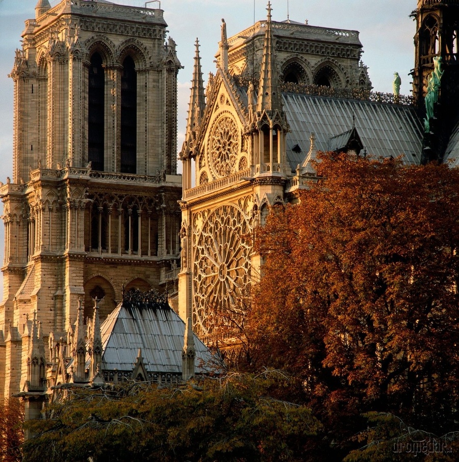 Фото достопримечательностей Парижа: Нотр Дам в осенних красках