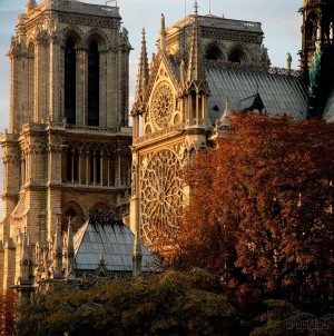 Нотр Дам в осенних красках (Париж)
