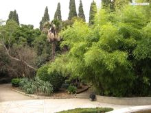 Сколько разной зелени!