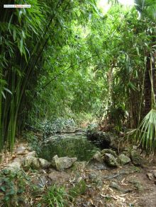 Удивительно красивый уголок сада