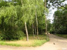 Парк им. Горького в Одессе