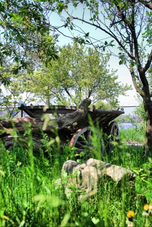 Окрестности Триполья весной (Киев и область)