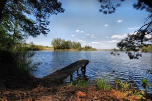Вид на Днепр в Триполье. Природа в этих краях так и манит на прогулки (Киев и область)