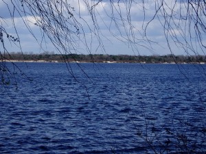 Днепр в районе Ржищева (Киев и область)