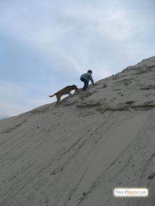  (Киев и область)