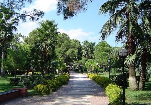 Аллея в парке "Лунный свет" (Турция)