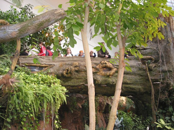 Фото достопримечательностей Вены: Балкончик для посетителей откуда виден весь павильон с бабочками и тропическими растениями