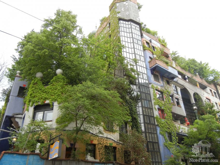 Фото достопримечательностей Вены: На крыше и террасах дома Хундертвассера уже целый лес