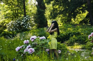 Ботанический сад БФУ имени И. Канта в Калининграде. Полный уникальных деревьев, цветов и кустарников уголок природы в черте города. Здесь есть экземпляры, не встречающиеся больше по области. (Европейская часть России)