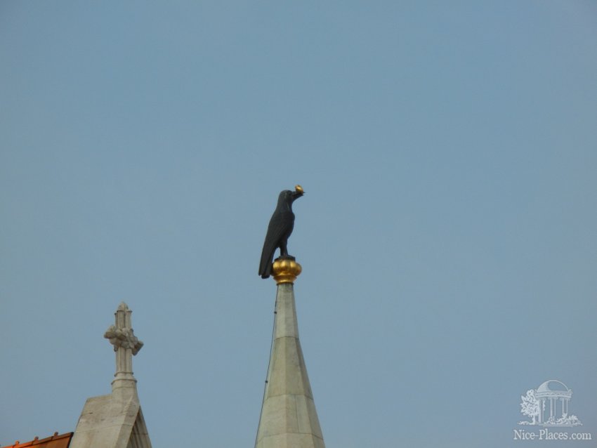 Фото достопримечательностей Будапешта: Ворон с кольцом в клюве &mdash; символ династии Корвинов