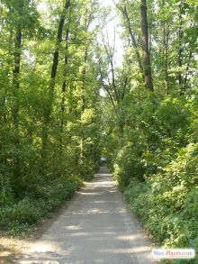 Дорога к реке (Киев и область)