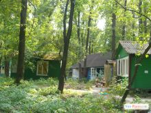  (Киев и область)