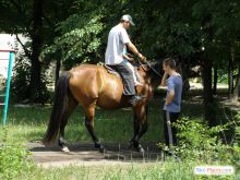 Полный спект услуг: Катание на конях и на ослике :-) (Святогорск)
